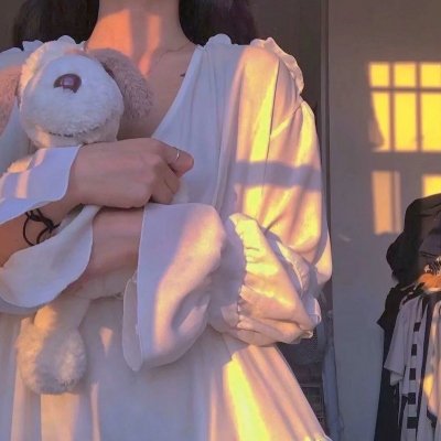 王之逆袭:意志的继承者